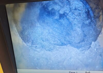Root infestation visible during CCTV drain inspection in Helensburgh