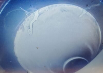 Drain pipe condition recorded during a CCTV survey in Pollokshields